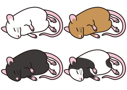 Ondes électromagnétiques